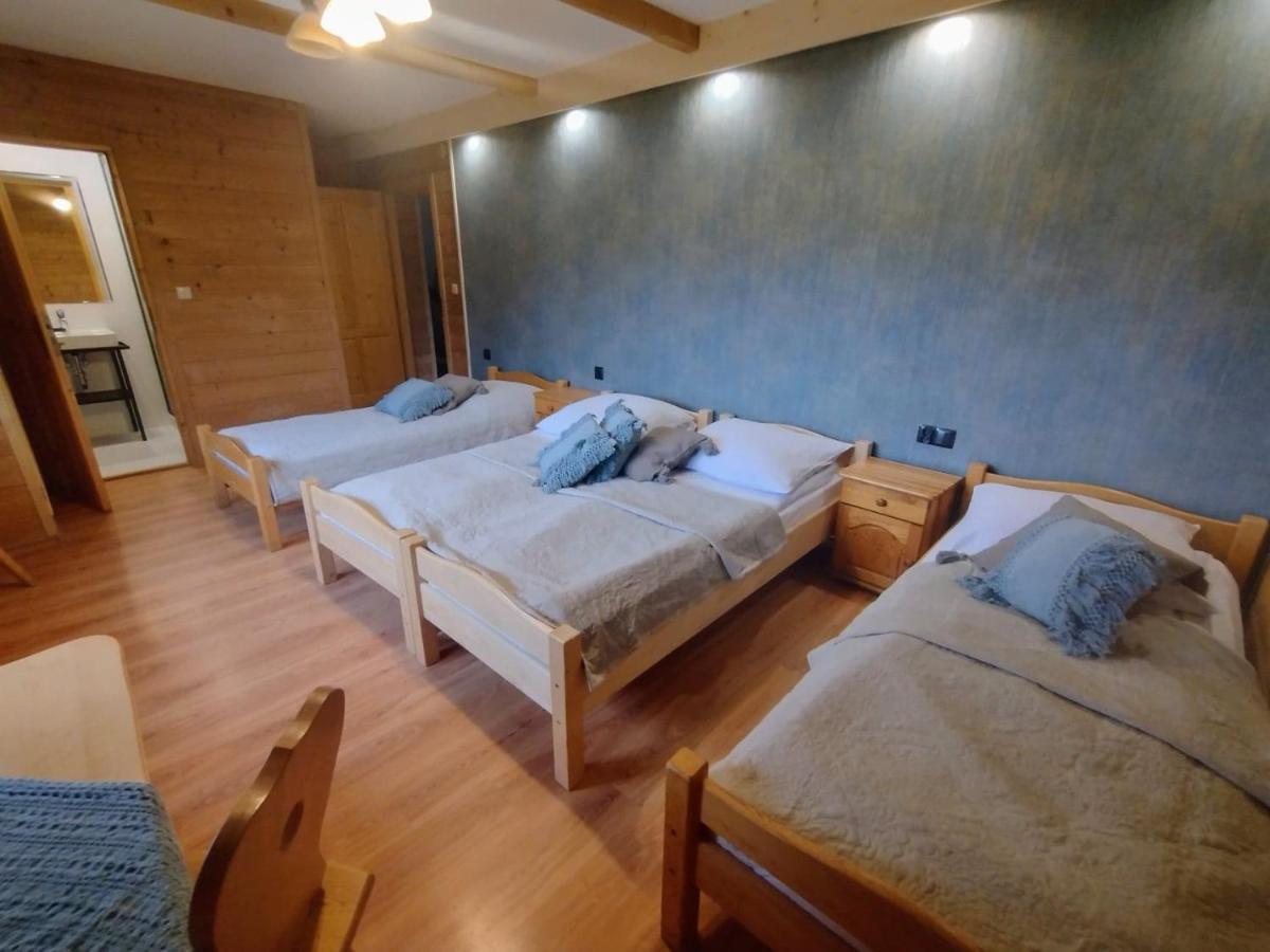 Willa Siklawa Zakopane Kültér fotó