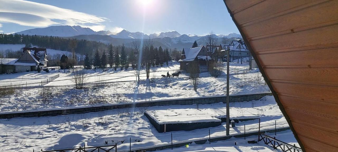 Willa Siklawa Zakopane Kültér fotó